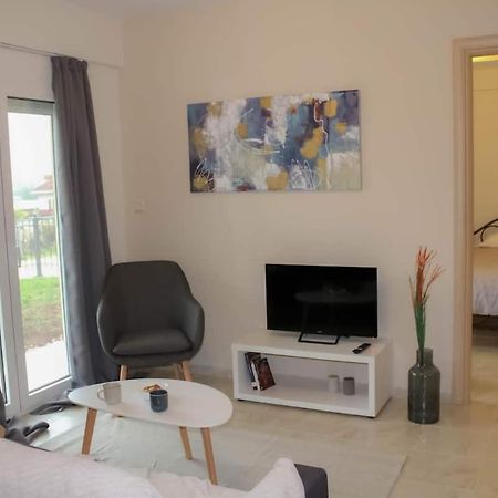 Cozy Modern Apartment Ιωάννινα Εξωτερικό φωτογραφία