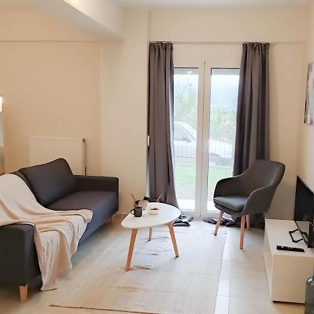 Cozy Modern Apartment Ιωάννινα Εξωτερικό φωτογραφία