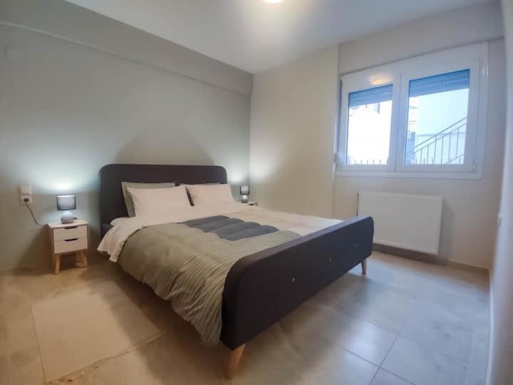 Cozy Modern Apartment Ιωάννινα Εξωτερικό φωτογραφία