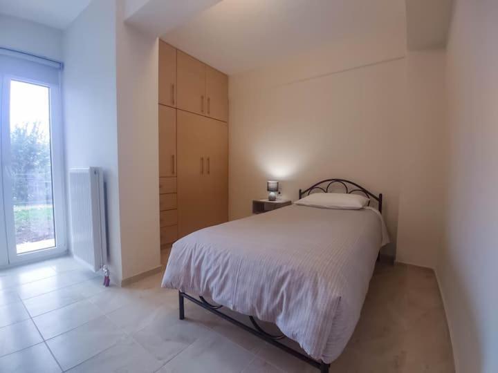 Cozy Modern Apartment Ιωάννινα Εξωτερικό φωτογραφία